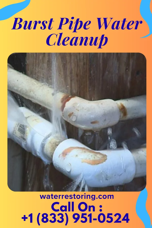 Burst Pipe Water Cleanup in Greenwood, IN
