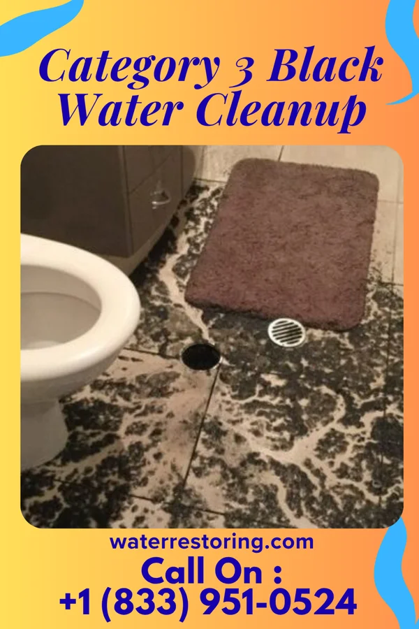 Category 3 Black Water Cleanup in Greenwood, IN
