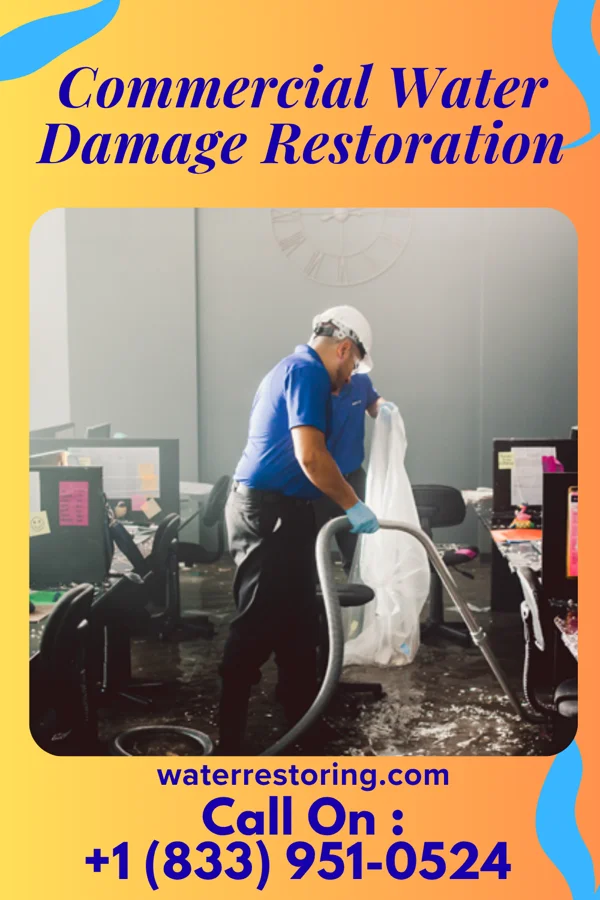 Commercial Water Damage Restoration in Greenwood, IN