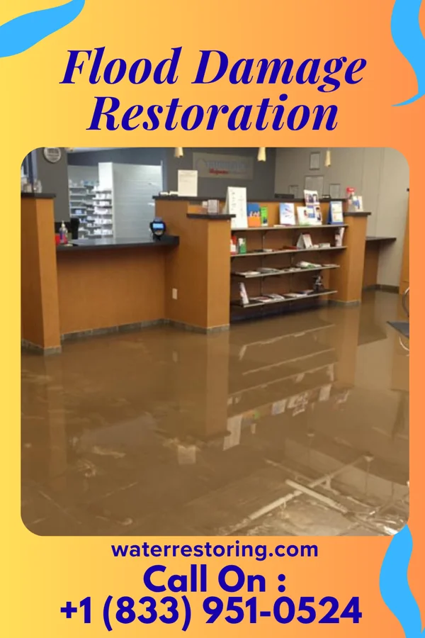 Flood Damage Restoration in Greenwood, IN