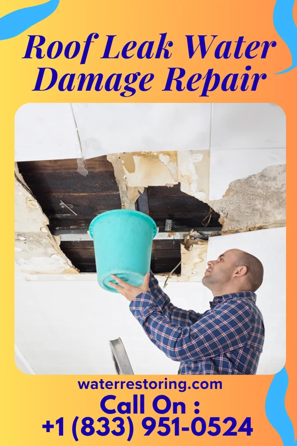 Roof Leak Water Damage Repair in Greenwood, IN