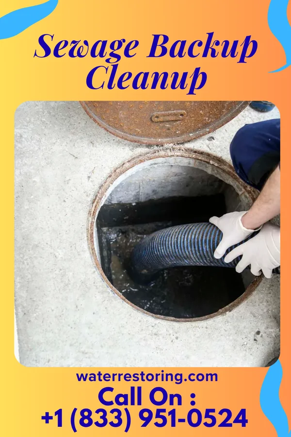 Sewage Backup Cleanup in Greenwood, IN